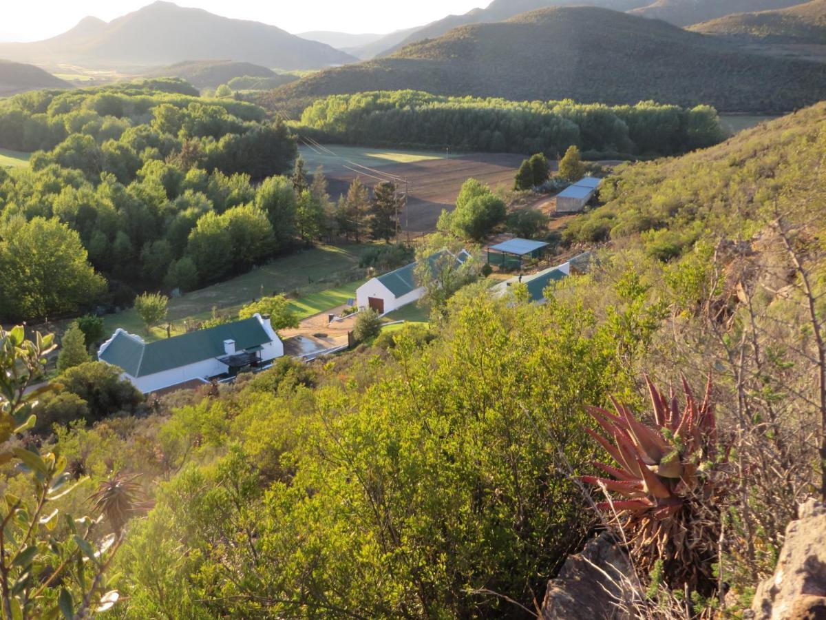 Bo Kouga Mountain Retreat Ξενοδοχείο Ongelegen Εξωτερικό φωτογραφία